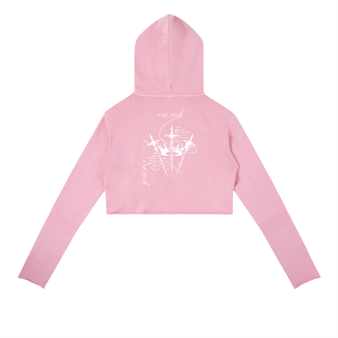 Butterfly Bloom Vintage Crop Hoodie